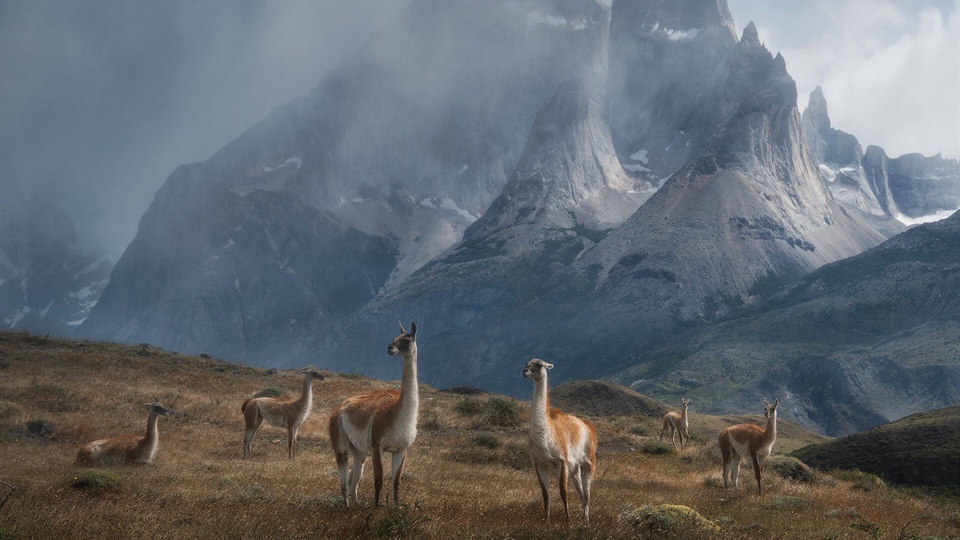 影响深远：“绿色篮球”环保行动深入每场比赛，绿色环保行动活动项目有哪些