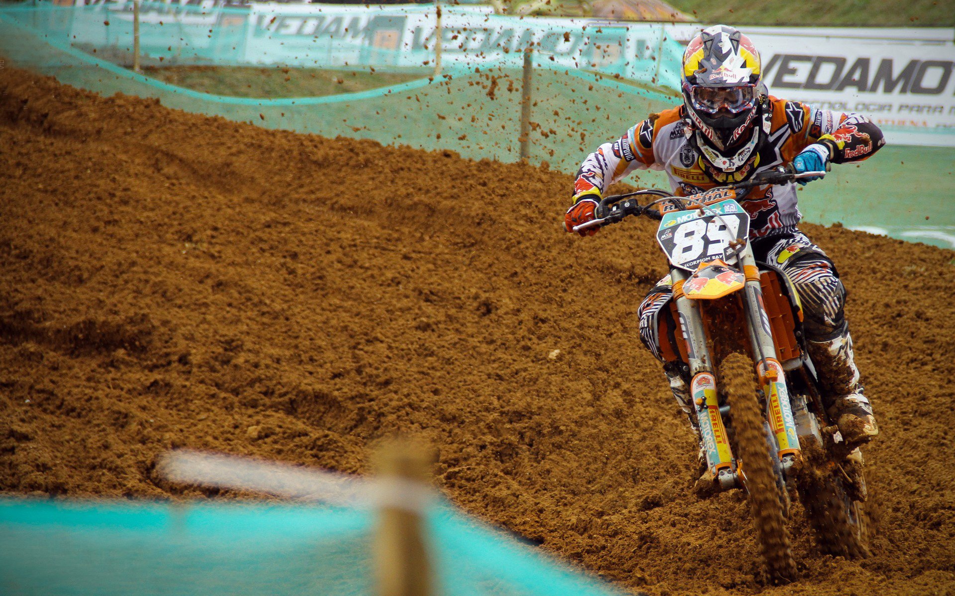 伤病阴影下的顽强坚持，伤病阴影下的顽强坚持是什么