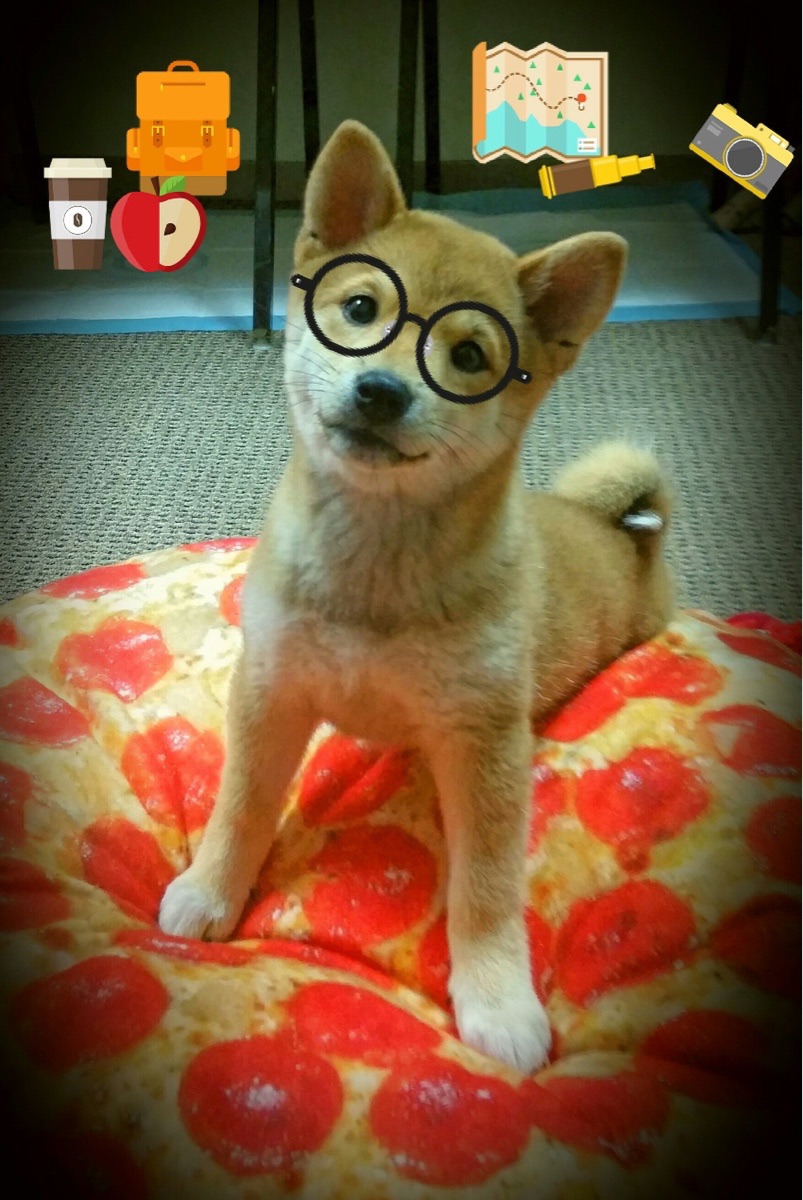 _湖人队迎来反弹,连胜在望_,看一下湖人队