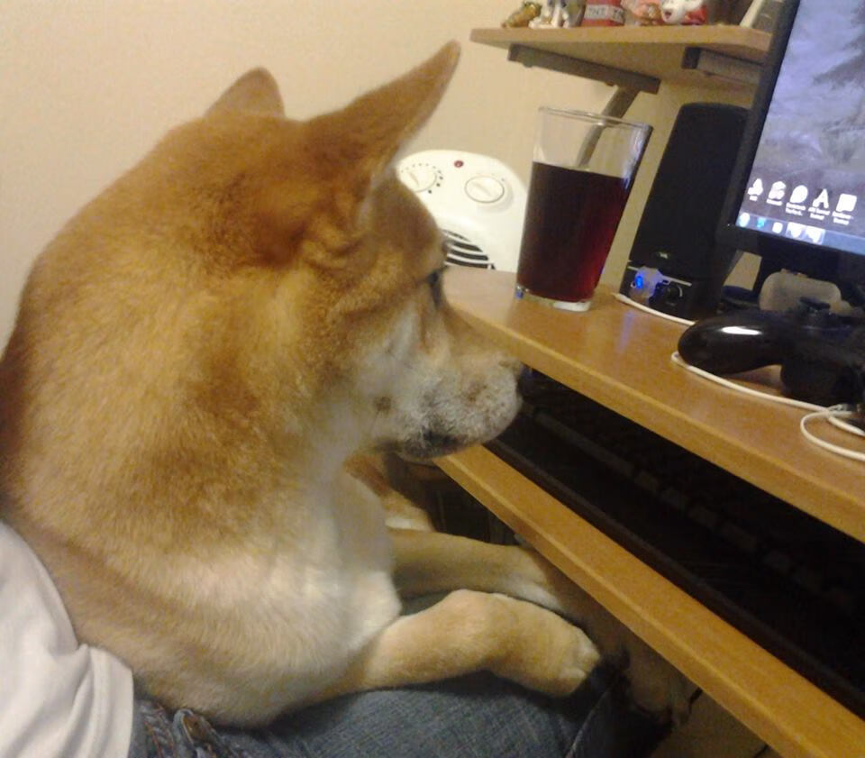 _运动科普讲座:普及科学运动知识_,运动知识健康科普