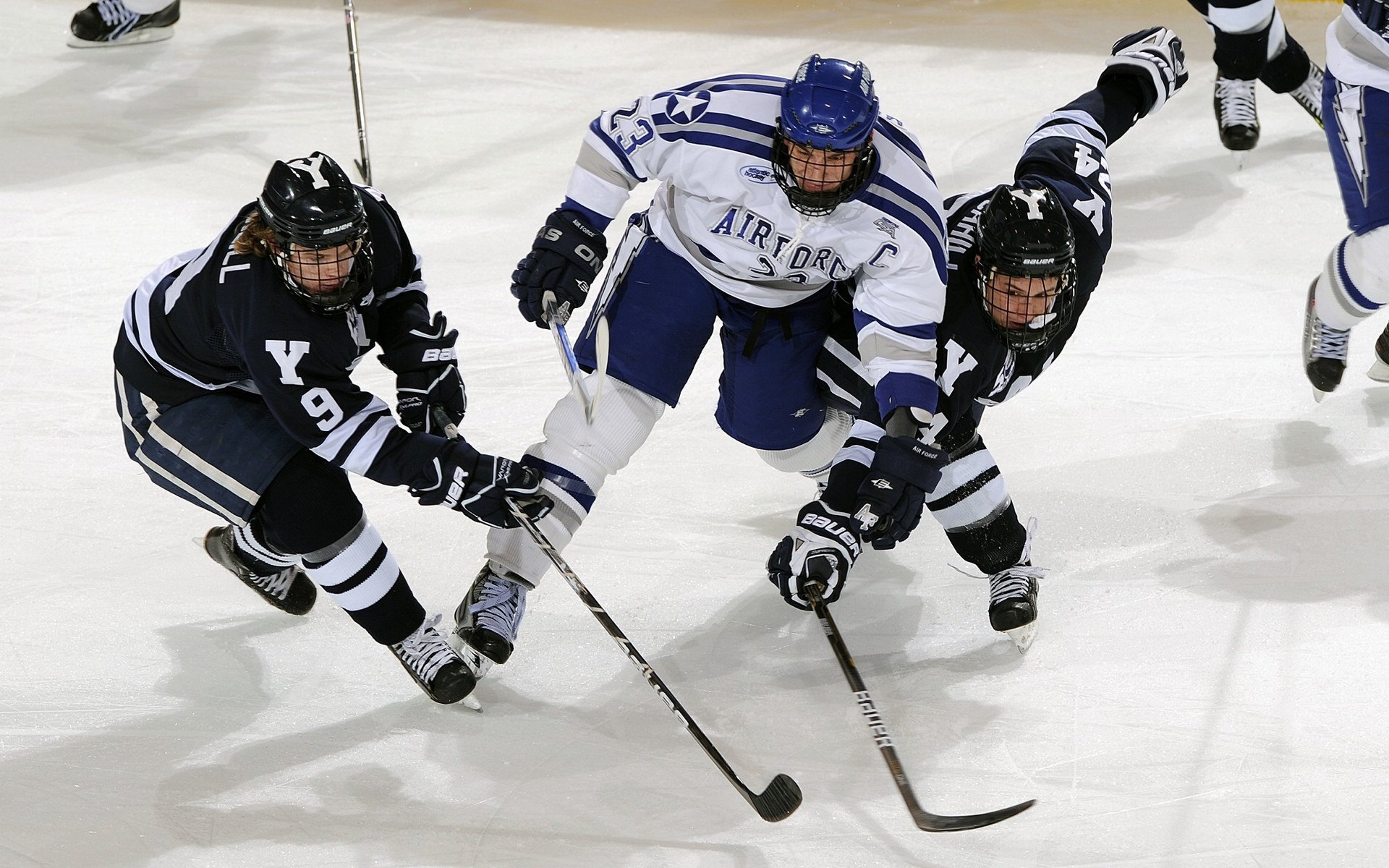 “海岸线飙车:沿海赛段的贵族速度”,海岸线解说