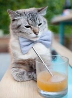 爱游戏综合娱乐-“英超新星崭露头角，成为球队未来希望”，英超新赛季前瞻