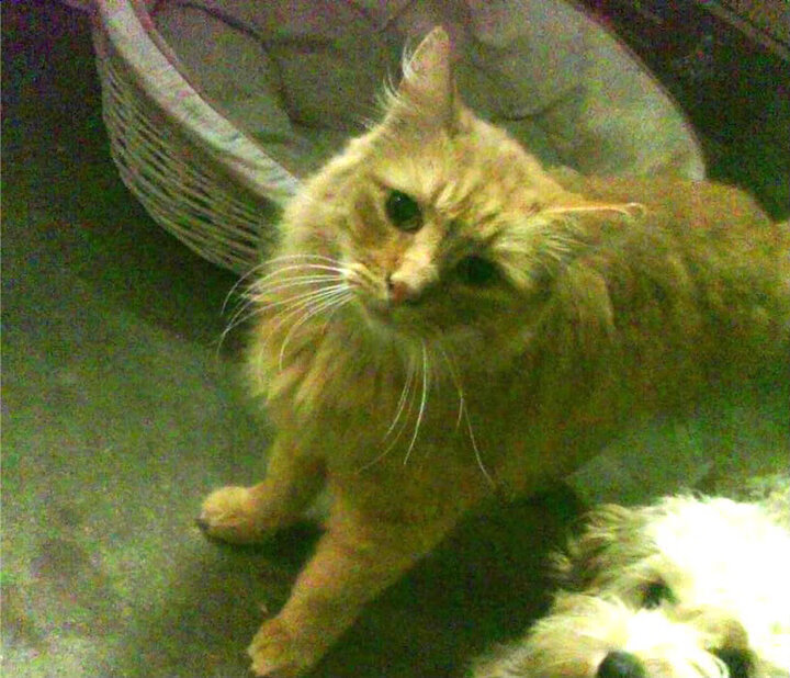 爱游戏娱乐-“青少年足球培训基地在全国多地落地”，哪里有青少年足球培训