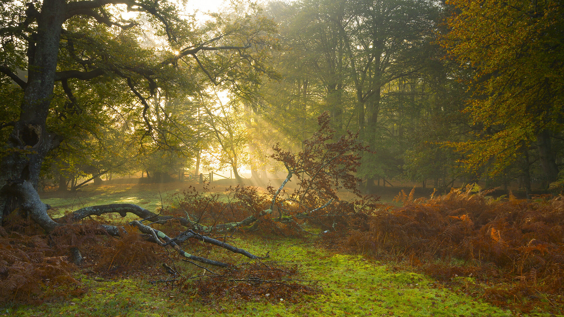 团队协作:北京队全场助攻22次,传球配合默契!,北京 球队