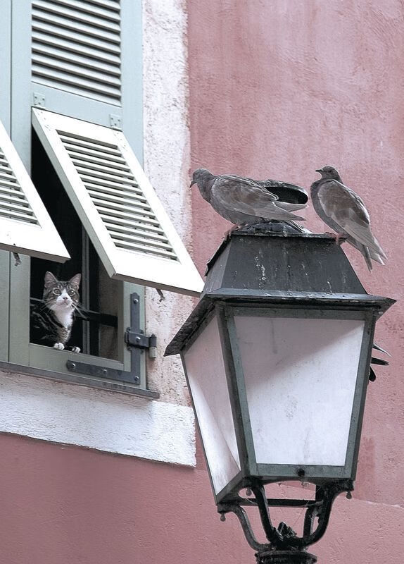 爱游戏体育入口-尤文图斯用严密防守成功抑制对手的中场技术流，尤文图斯训练